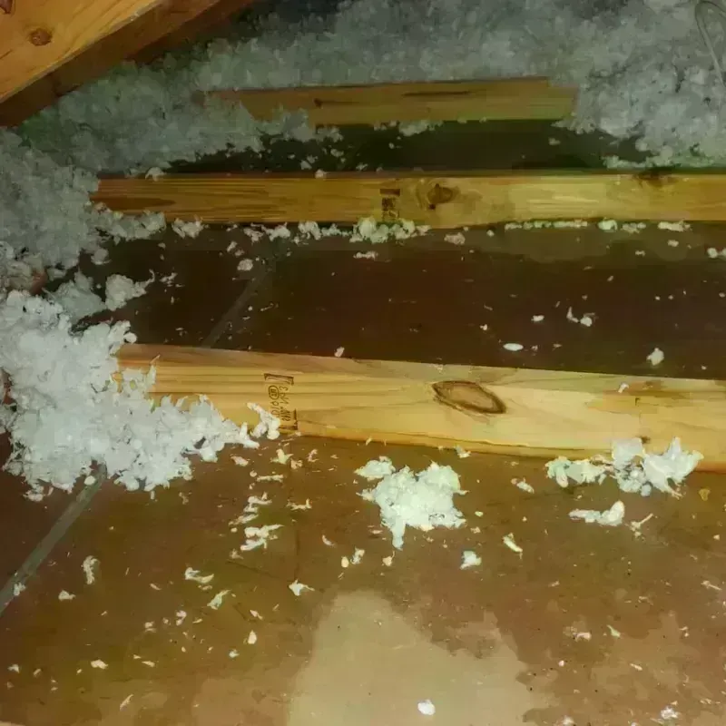 Attic Water Damage in Mirrormont, WA