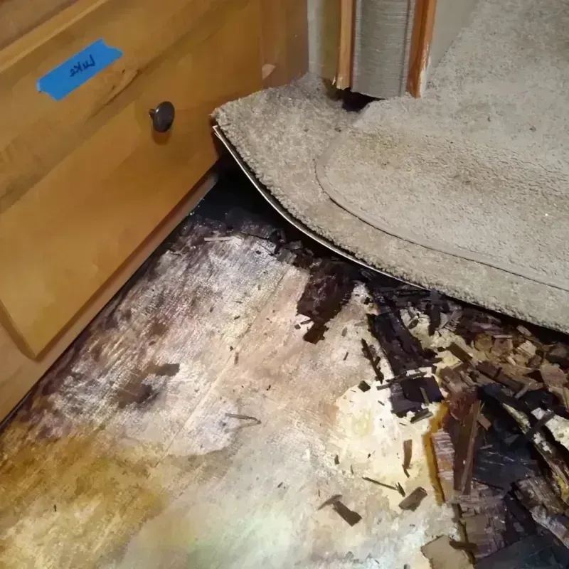 Wood Floor Water Damage in Mirrormont, WA